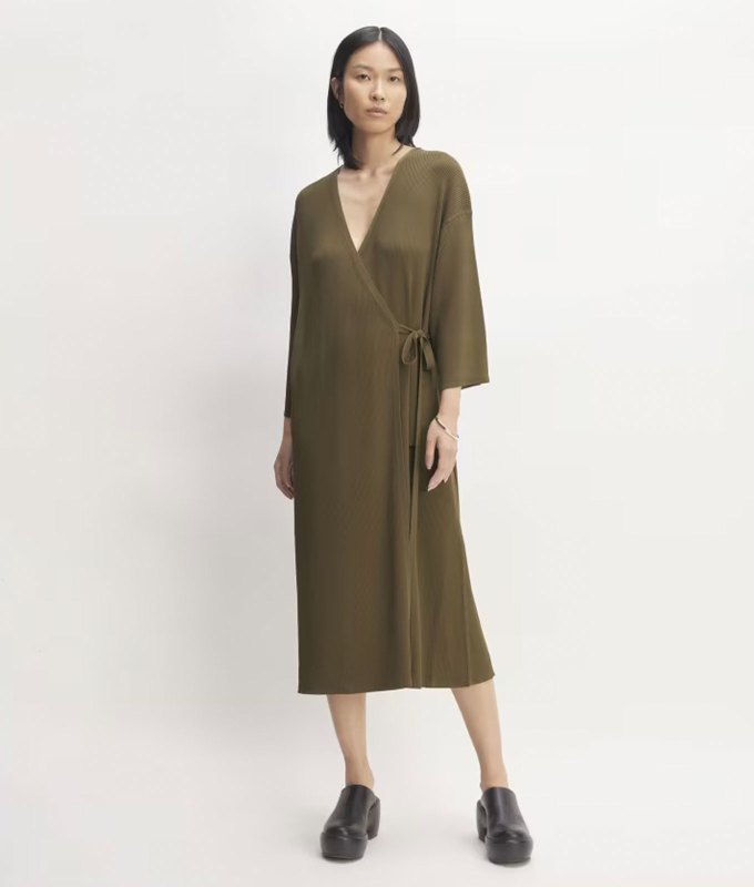 best fall dresses under 150 everlane